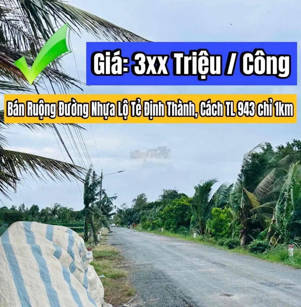 BÁN 50 CÔNG RUỘNG MẶT TIỀN LỘ NHỰA 7M GẦN TRẠI GIỐNG ĐỊNH THÀNH