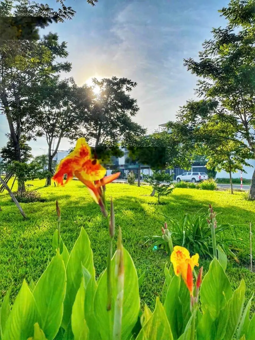 Bán lô biệt thự gói 7 kđt mỹ gia , gần trường mầm và công viên chỉ 28tr/m2 , sót lô đẹp giá tốt