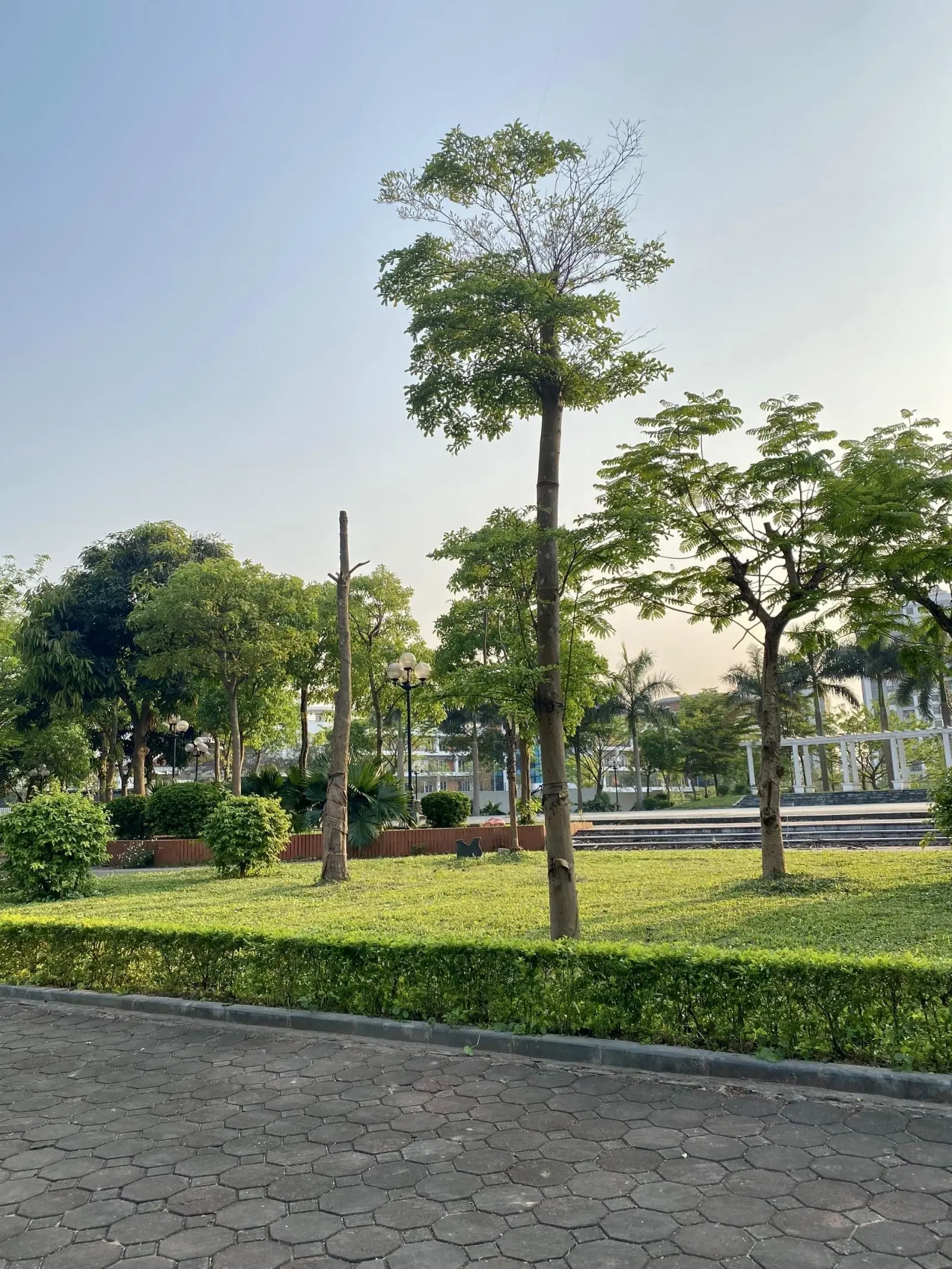 Gia đình cần bán 360m2 đất đấu giá Việt Hưng, MT 20m, đường 10m, vỉa hè 5m xây bt hoặc toà nhà vp