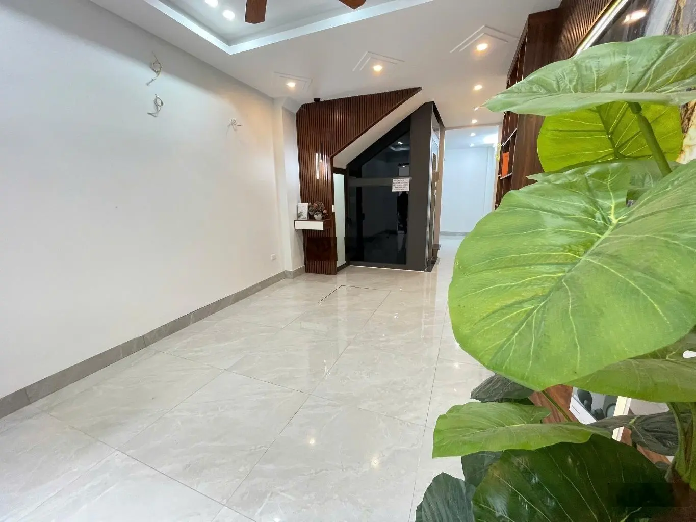 Ô tô tránh- kinh doanh- thang máy- tương lai dạng ngời