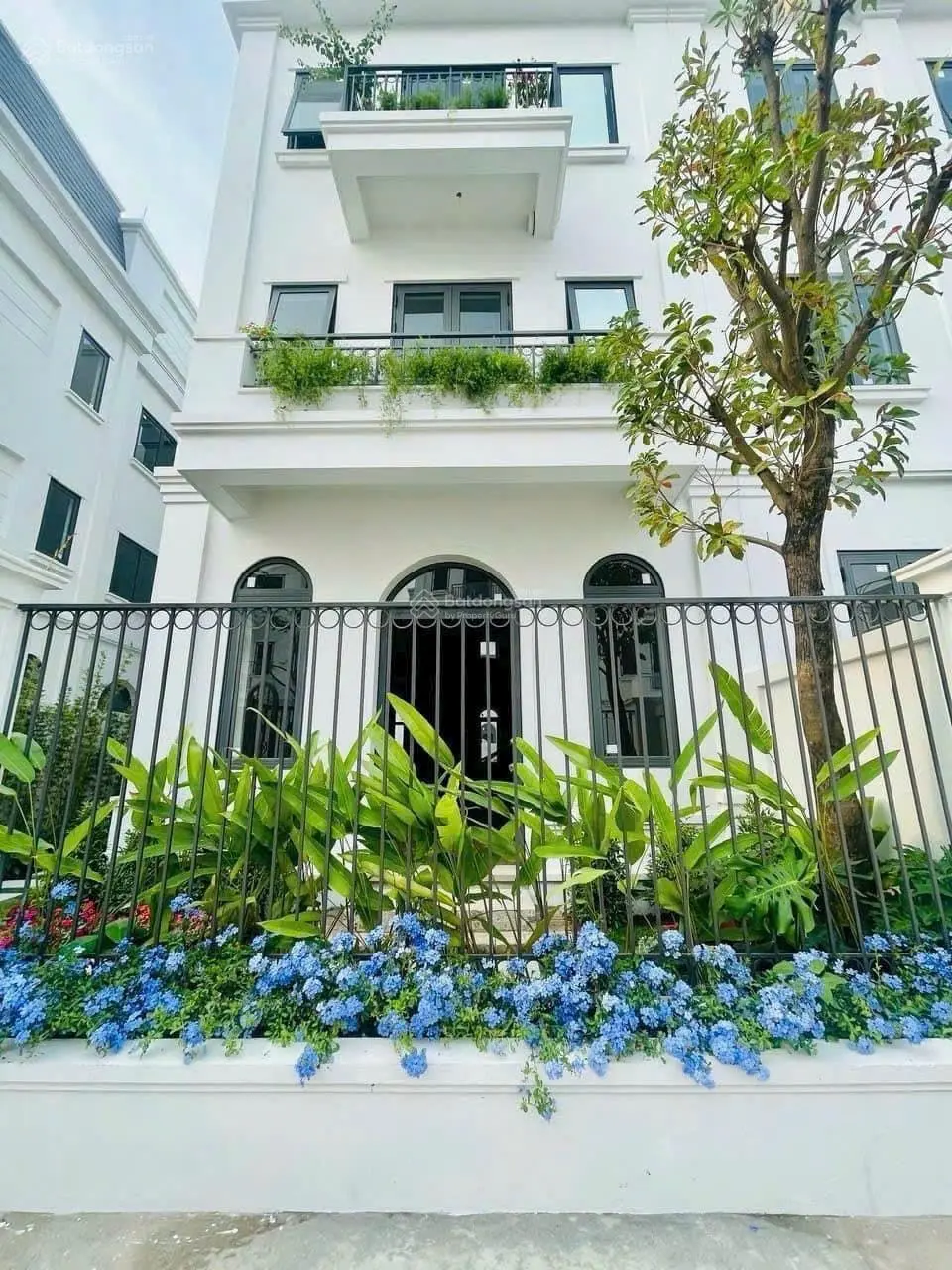 Quỹ căn ngoại giao BT Nam Cường 170 - 300m2. Đường 21,5m. MT 12m, Chiết khấu 20%. Sổ lâu dài