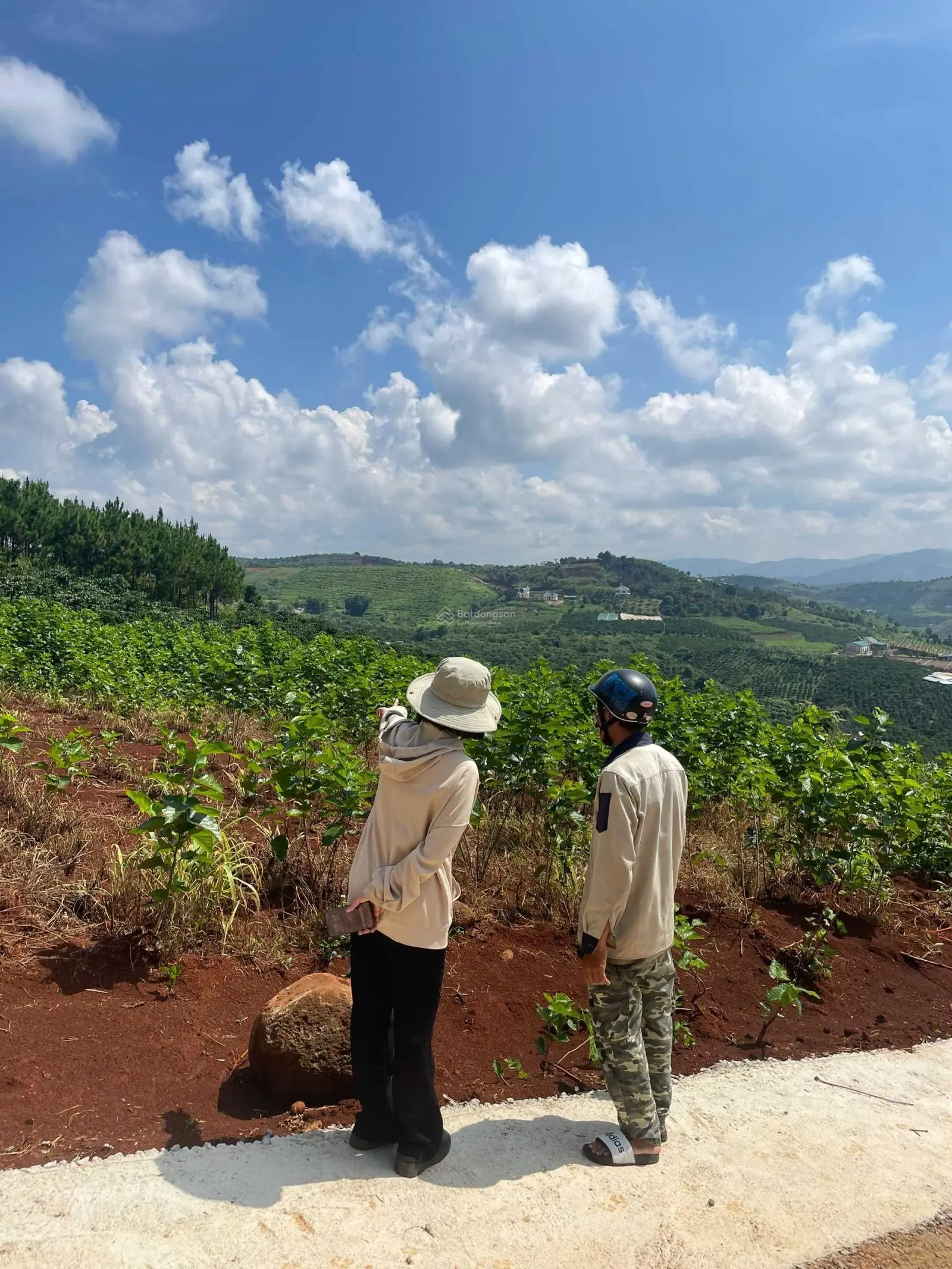 Đất ven Đà Lạt - diện tích lớn - có thổ cư - view tầm nhìn cao - giá đầu