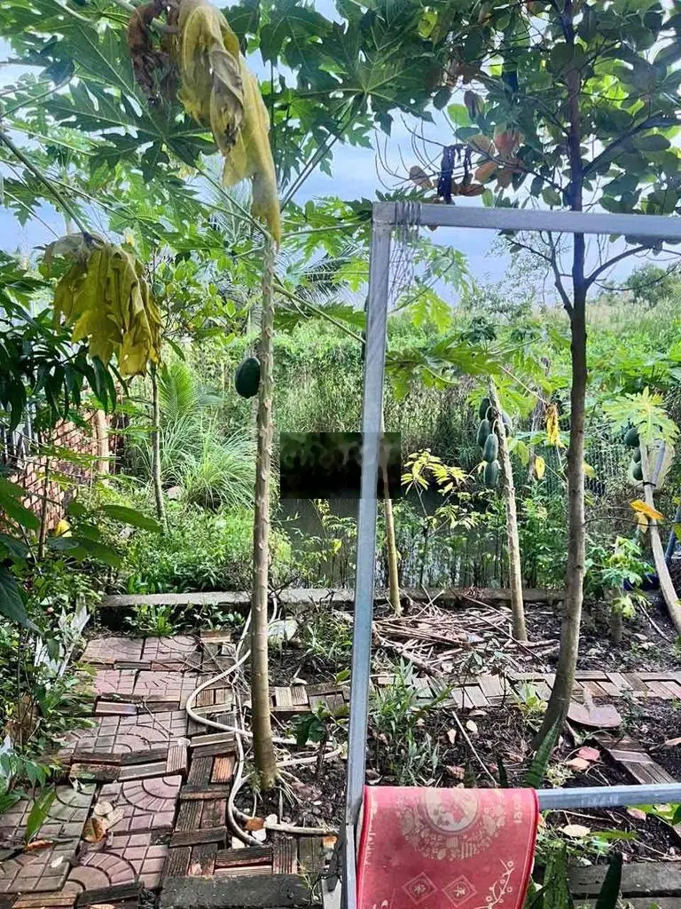 NHÀ PHƯỜNG 6 (Cách Bệnh Viện Tỉnh ~ 3.5km)