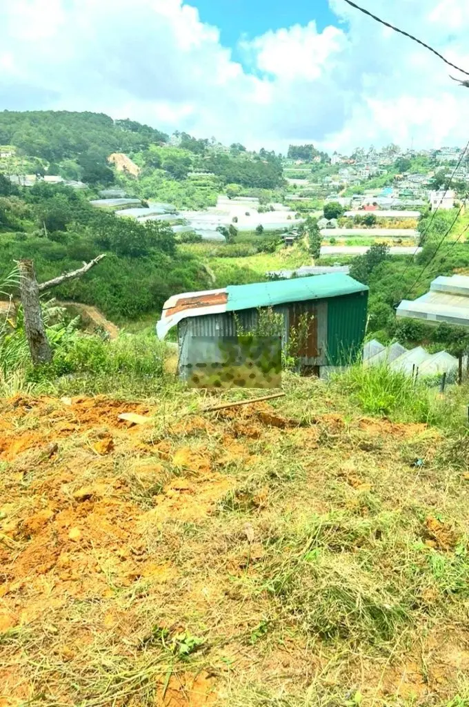 Bán gấp đất view đẹp đồi thông gần khu du lịch Hồ Tuyền Lâm Đà Lạt