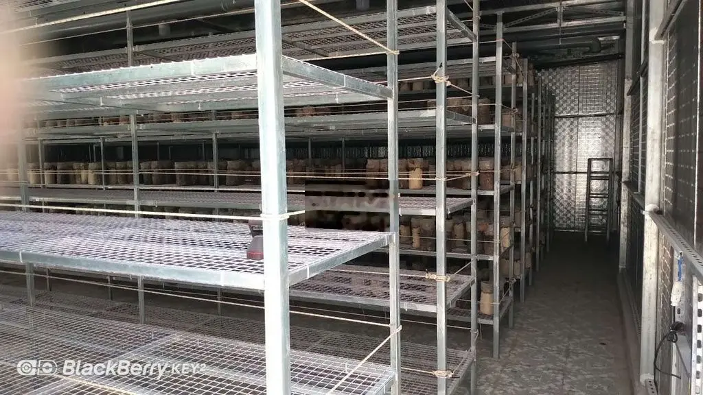 Bán trang trại nấm công nghệ tại Củ Chi với diện tích 2347m2, giá 13,67 tỷ