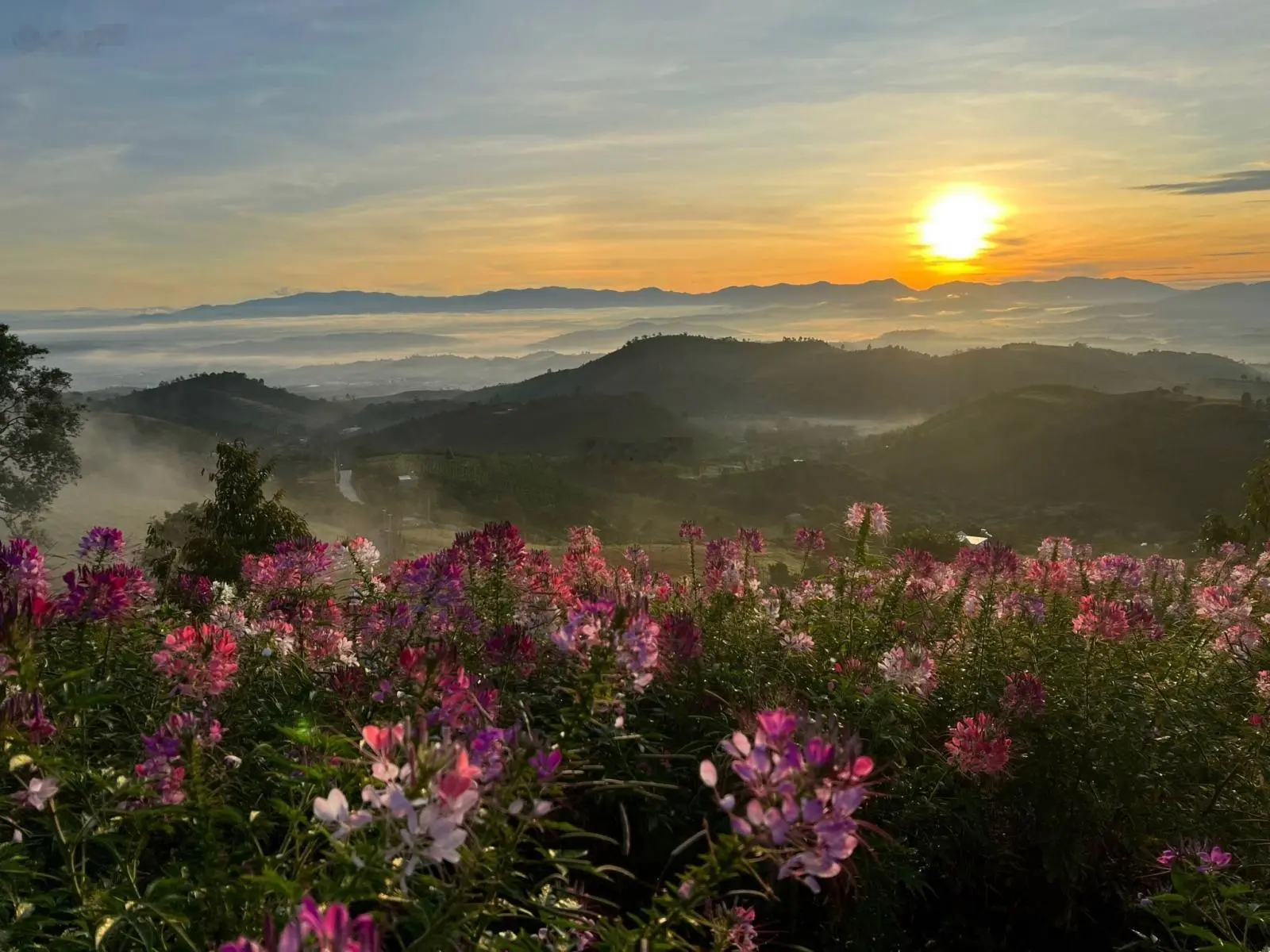 Bán lô đất 1000m2 có 100m2 thổ cư SHR, view săn mây tuyệt đẹp tại Lộc Thành-cách TP.Bảo Lộc chỉ 15P