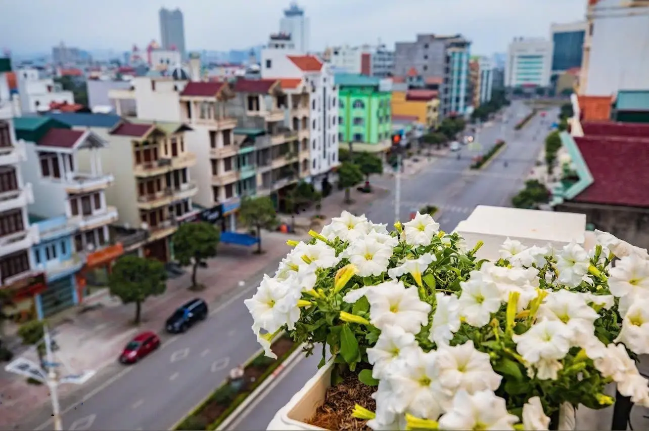 Bán lỗ nhà phố VIP trục Đại Lộ Hòa Bình view toàn thành phố Móng Cái giá 10 tỷ. Call: 0366 013 ***