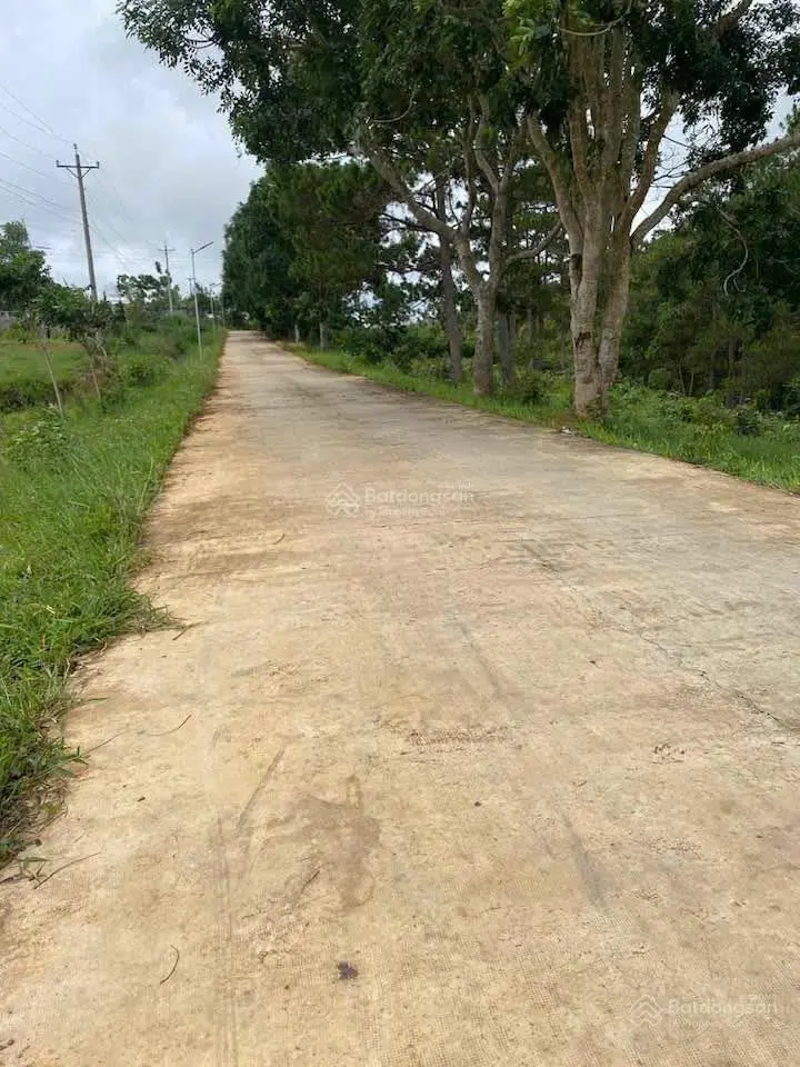 Lô đất đẹp hàng đầu làng chùa Đại Ninh, cách sân bay Đà Lạt 14km