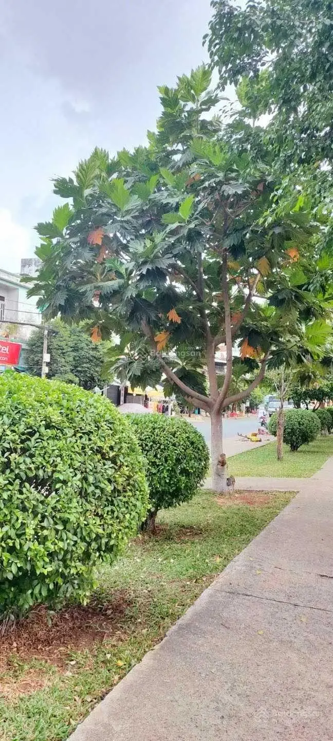 Bán nhà đường mặt tiền D9, phường Tây Thạnh, quận Tân Phú. Diện 4m x 25m, đúc kiên cố 1 trệt 2 lầu
