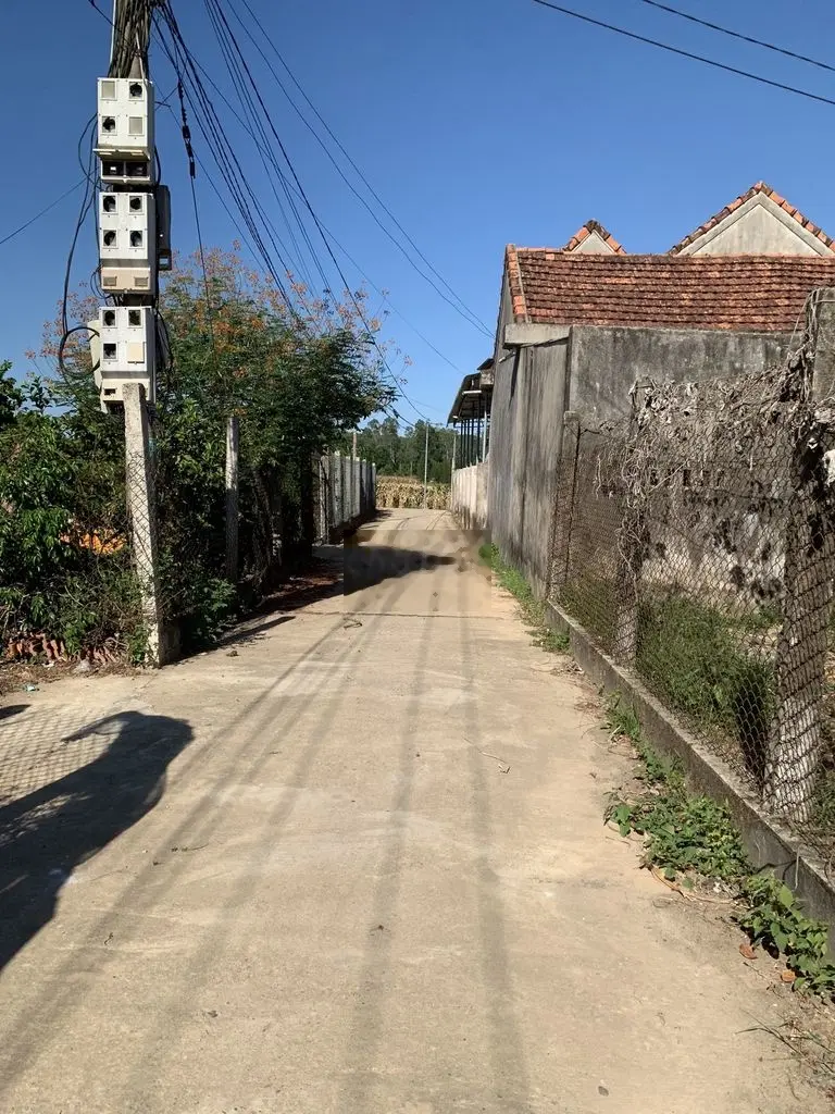 Vườn Tịnh Ấn Đông 930m2