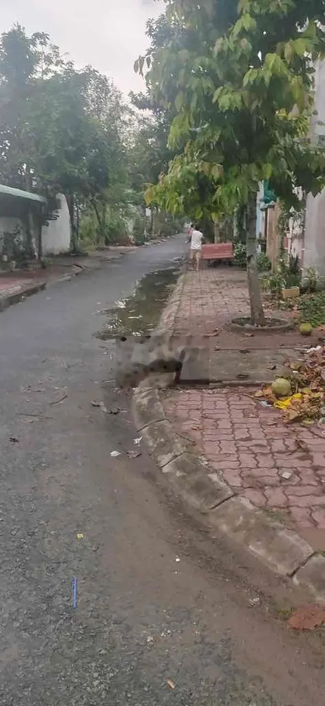 Đất Nền Chợ Vượt Lũ