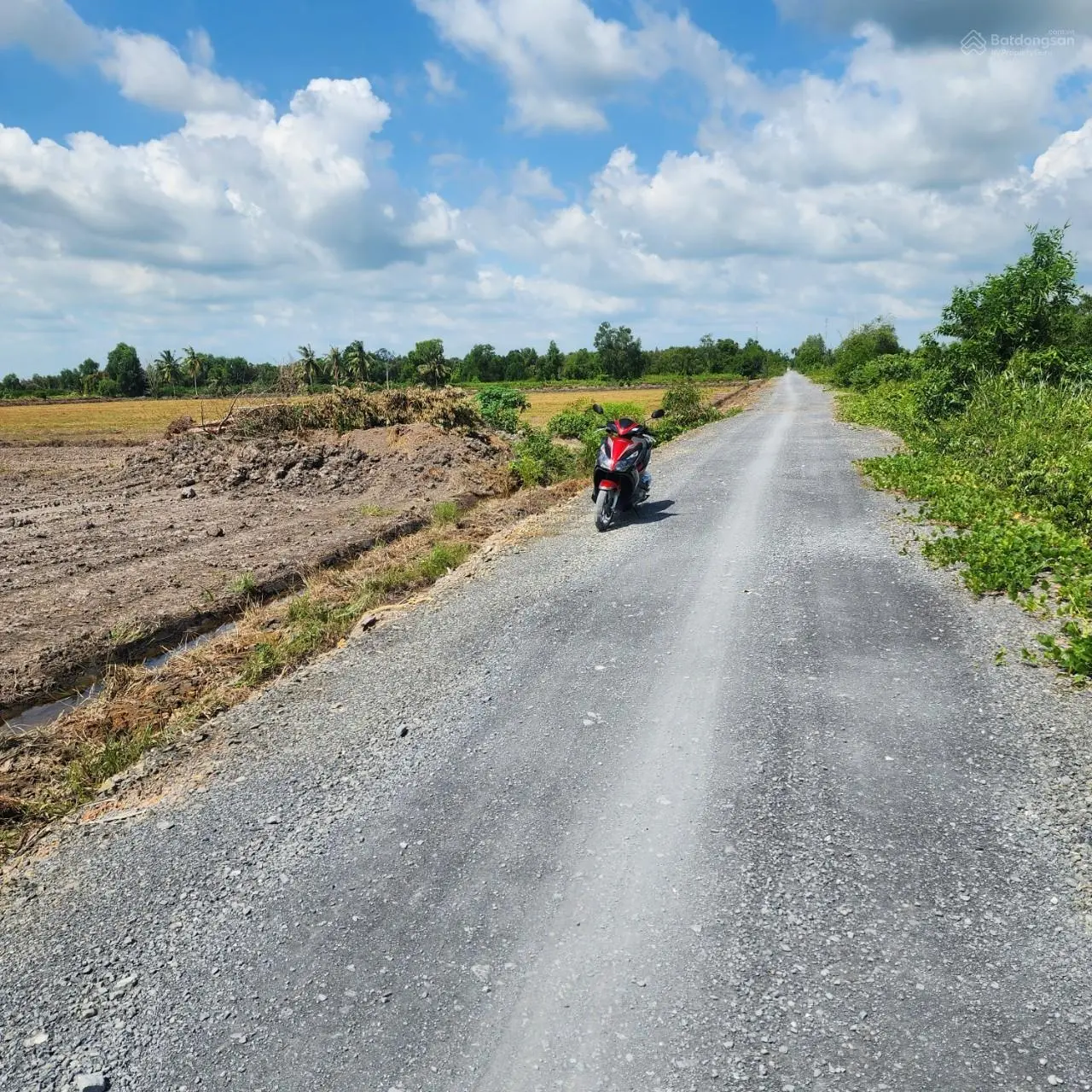 Chính chủ bán 1,7 mẫu đất nông nghiệp (SHR), 699 tr/công, Tân Thành, Thủ Thừa, Long An