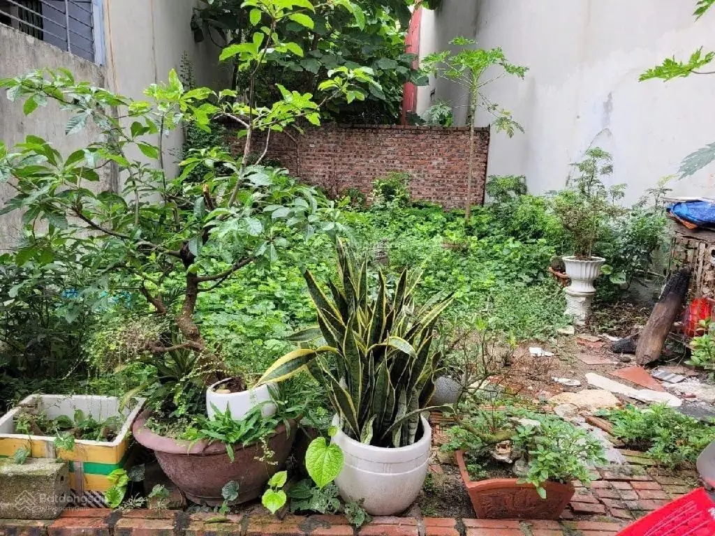 Bán đất cực đẹp - Phúc Lợi - Long Biên - ô tô đỗ cửa - 44m2 - mặt 5,3m - giá 5,25 tỷ
