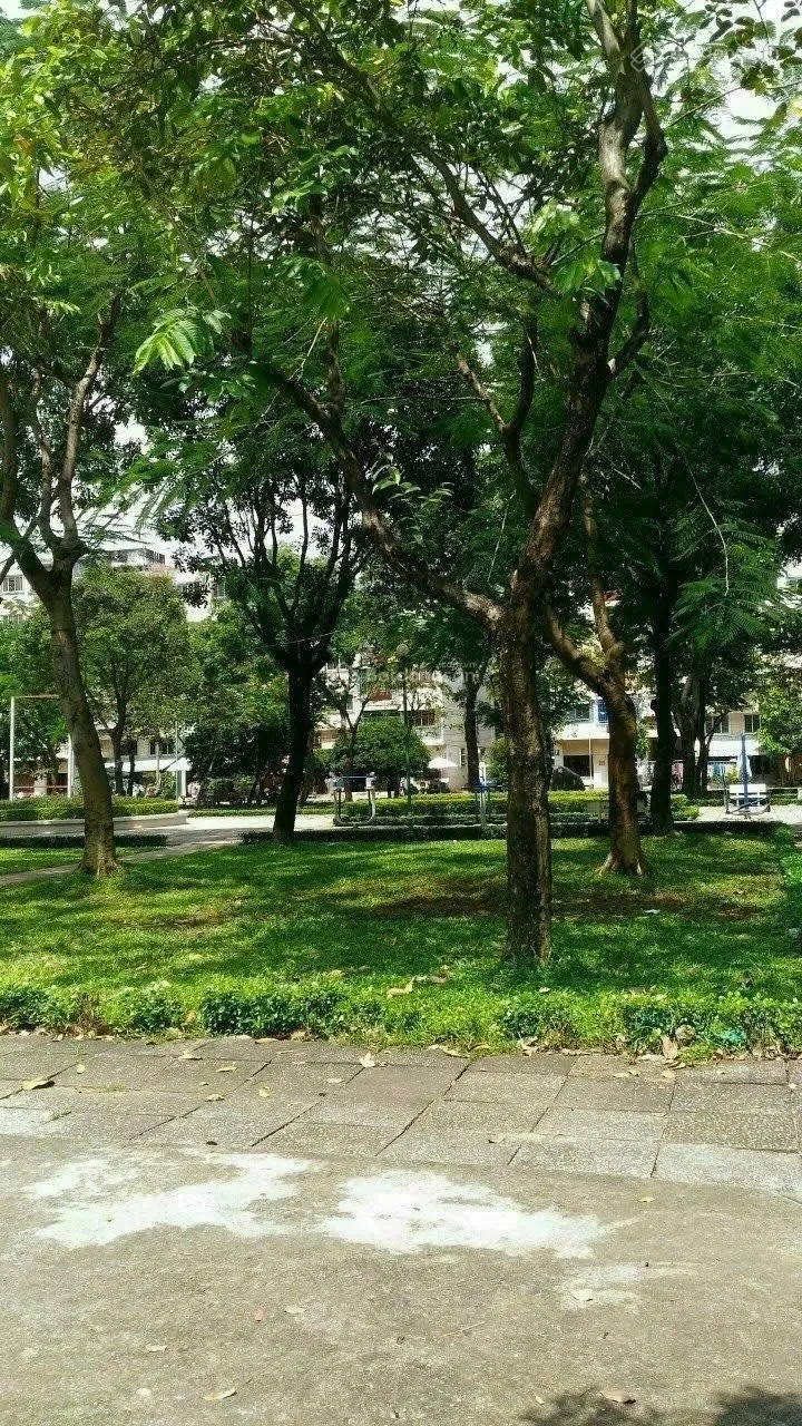 Chính chủ gửi bán căn nhà mặt tiền đường 49 phường bình trưng đông Q2. Tp thủ Đức