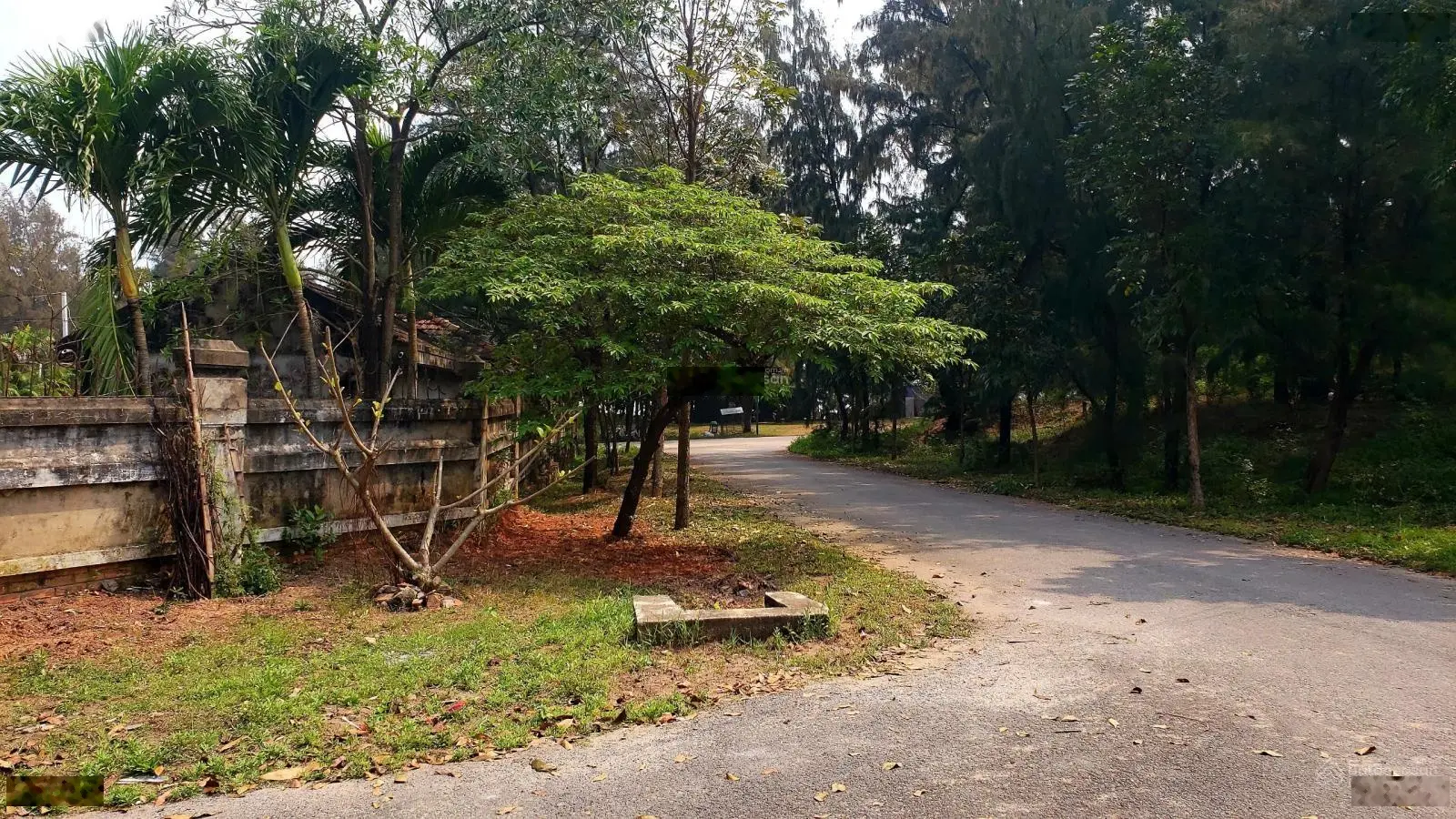 Chính chủ bán nhanh Khách Sạn Ban Mai siêu rộng đẹp tại biển Trương Pháp - Đồng Hới - Quảng Bình