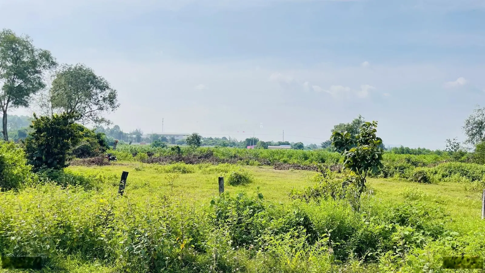 Bán đất thị trấn đất đỏ bà rịa vũng tàu 643m