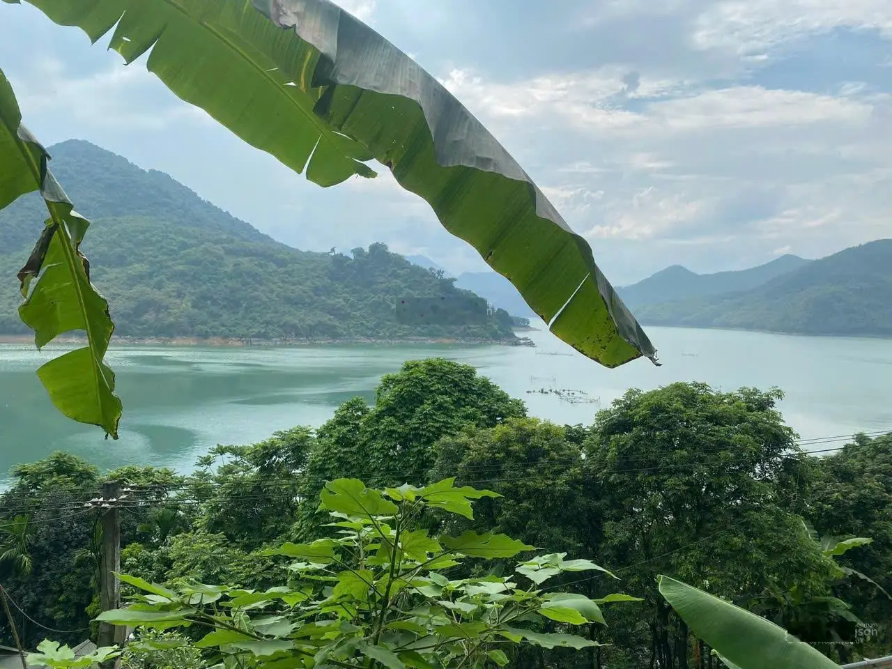 Siêu phẩm 1700m2 đất ở đô thị 240m2 còn lại là đất vườn trồng cây lâu năm tại Thái Bình, Hòa Bình