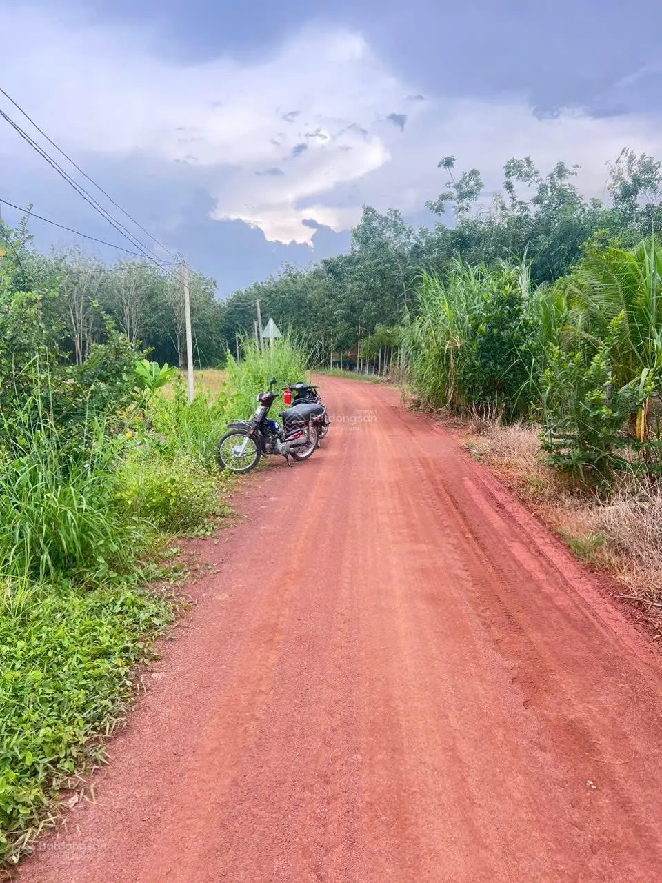 Bán đất 5000m2, tại xã phan, dương minh châu, Tây ninh