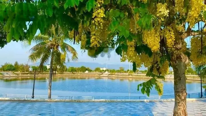 Chuyên phân phối dự án Goldenbay Hưng Thịnh biển Bãi Dài Cam Ranh giá tốt 20tr/m2, LH: 0908 207 ***