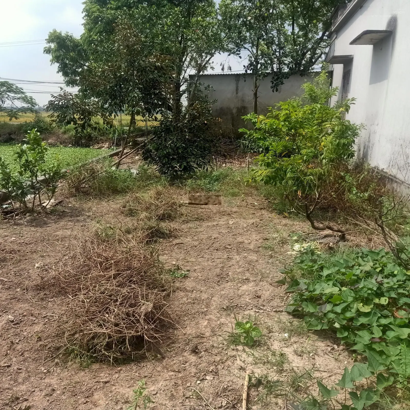 Mảnh đất đẹp đầu tư tại Vũ Lạc-Thái Bình, đường trước nhà ô tô tránh,cách tt.tp 3km 85m, nhỉnh 1 tỷ