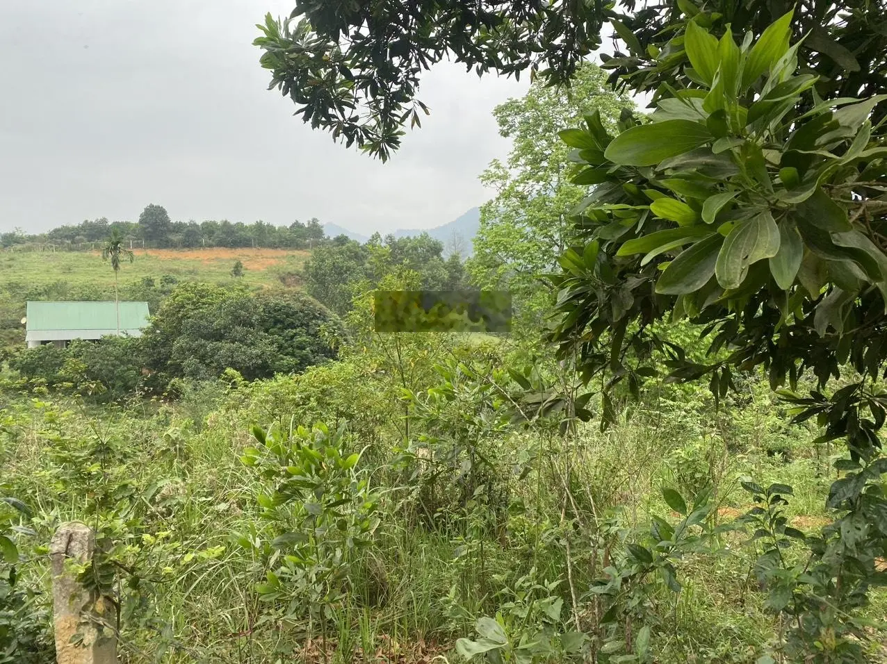 Cần bán 20.000m2 đất thuộc Phú Mãn , Quốc Oai! làm thiền viện, homestay..lh: 0902 298 ***