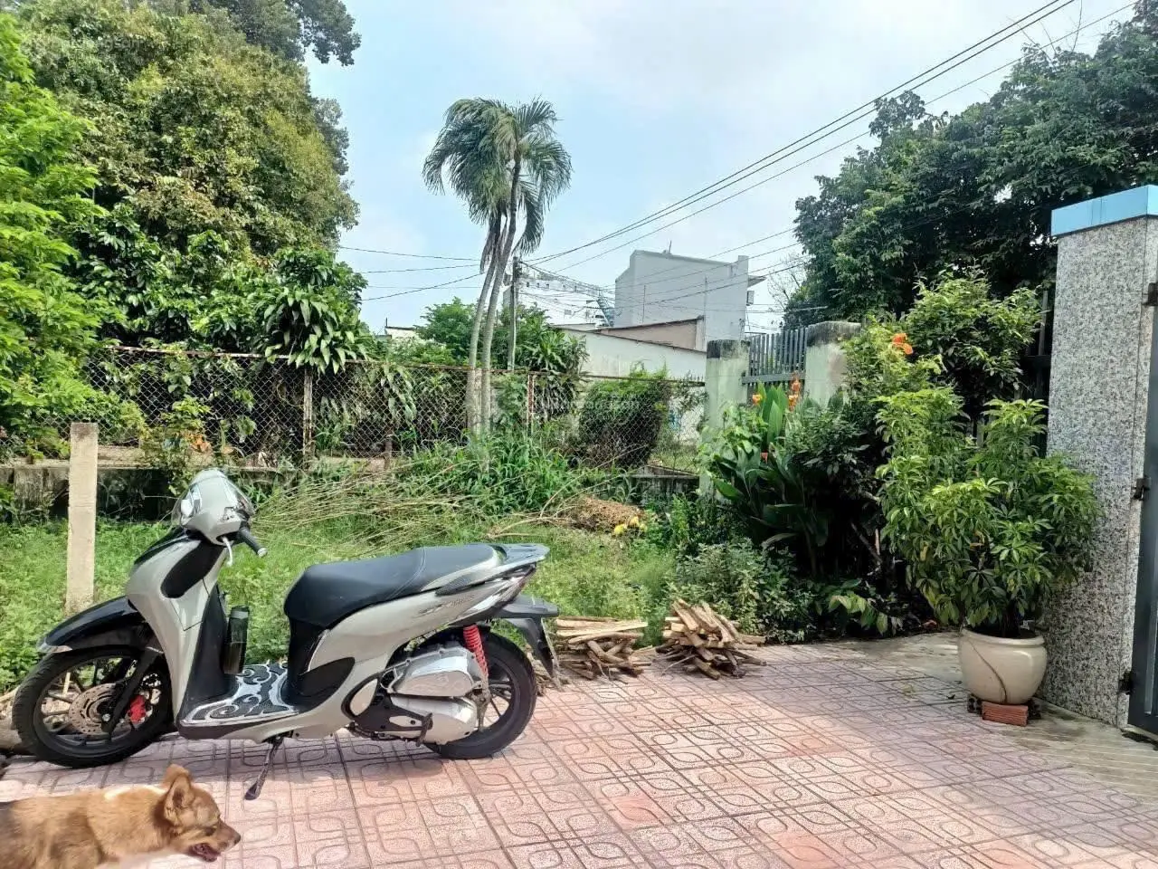 Chủ gửi bán đất P.Hiệp Hòa DT 123,6m2, đường Đặng Văn Trơn vào 120m, sổ riêng, TC 100%, ngang 5x25m