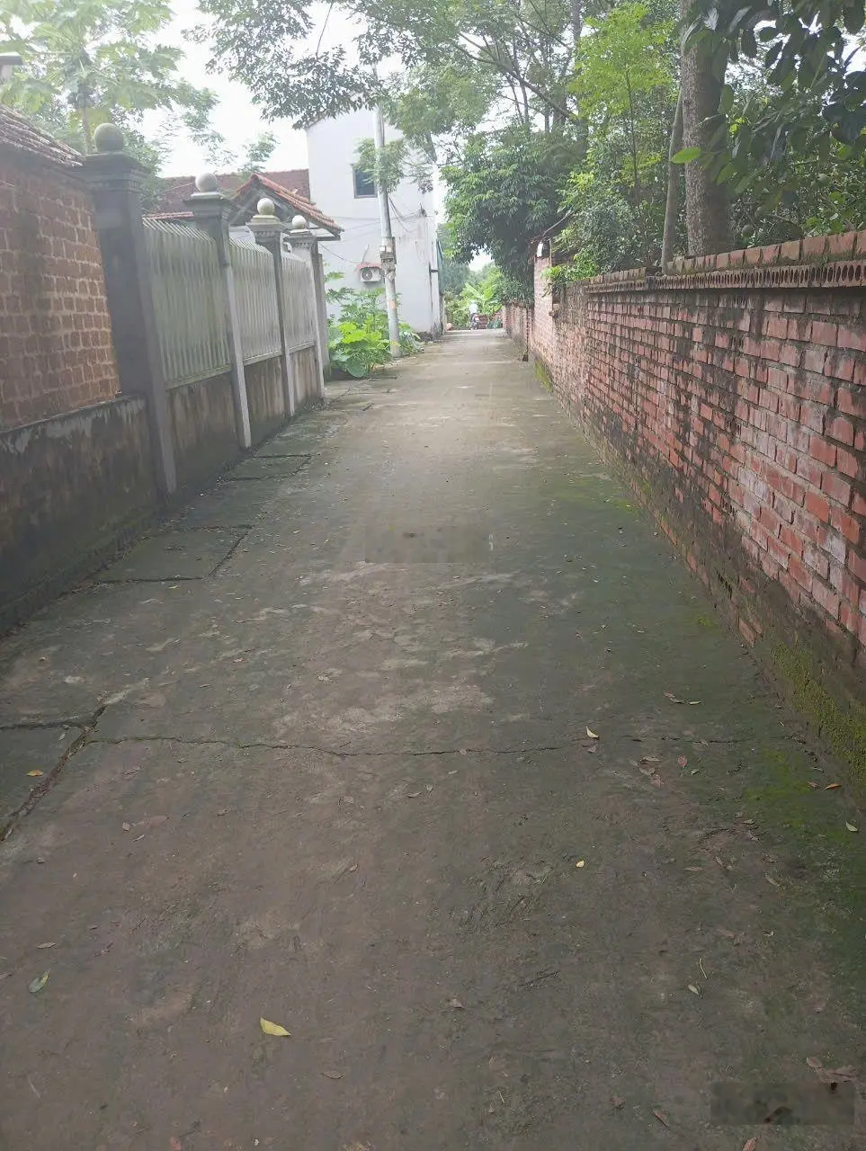 Cần tiền bán gấp trong tuần 100m2 full tại tân xã _ thạch thất