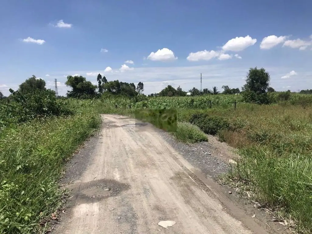 Cần bán gấp lô đất vườn 1000m2 giá cực rẻ