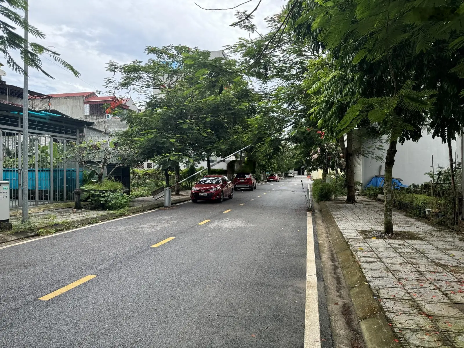 Cần bán nhanh lô đất trục chính đẹp nhất dự án Dragon Park Văn Giang, diện tích 98m2, mặt tiền 7m