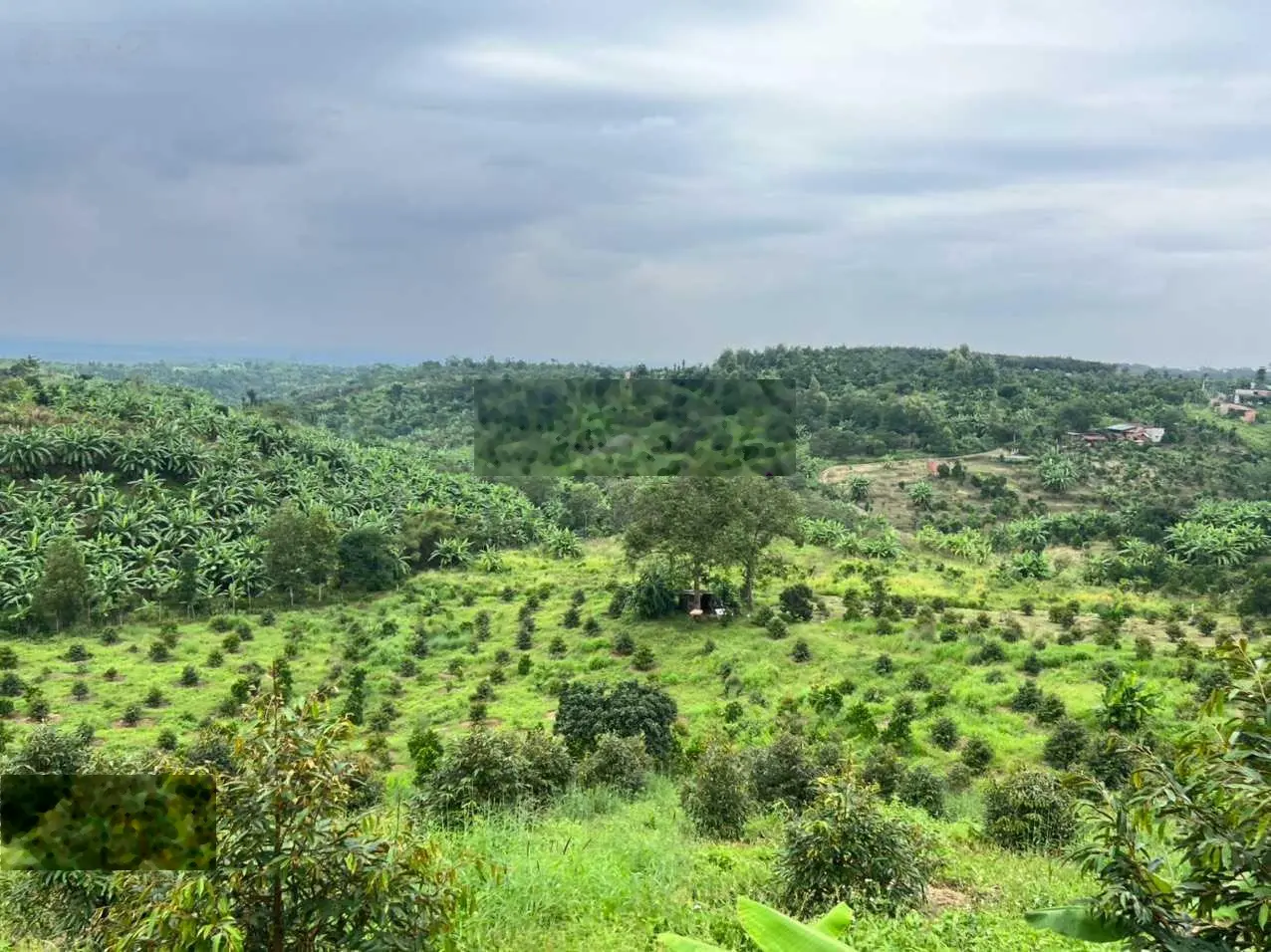 Hàng ngộp hơn 8 sào, view nghỉ dưỡng Hàng Gòn, Long Khánh, sổ riêng 550 triệu/sào tổng 4,6 tỷ