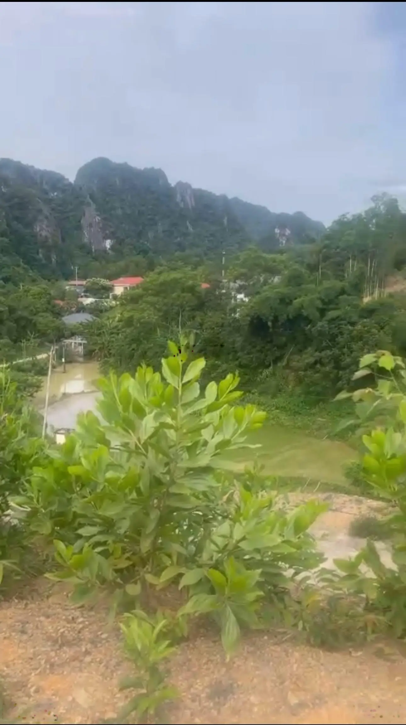 Bán đất Ngòi Hoa, Tân Lạc, Hoà Bình