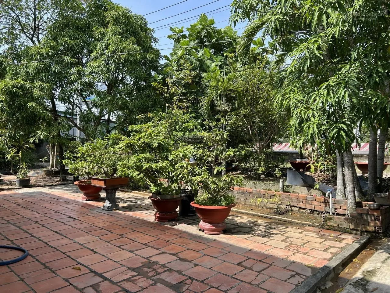 Bán gấp Mặt Tiền Xuyên Á Thị Xã Trảng Bàng Tây Ninh: 48mx100 (4800m2), 300TC. Giá: 62 tỷ TL