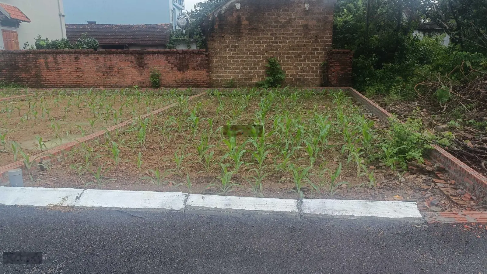 64m2 full thổ đất Tân Xã sát vành đai công nghệ cao Hoà Lạc