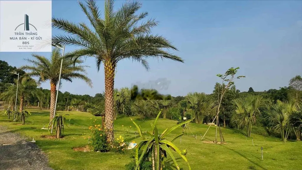View Nghĩ Dưỡng Hồ Suối Rao - Hoàn Thiện 100%,TMDV