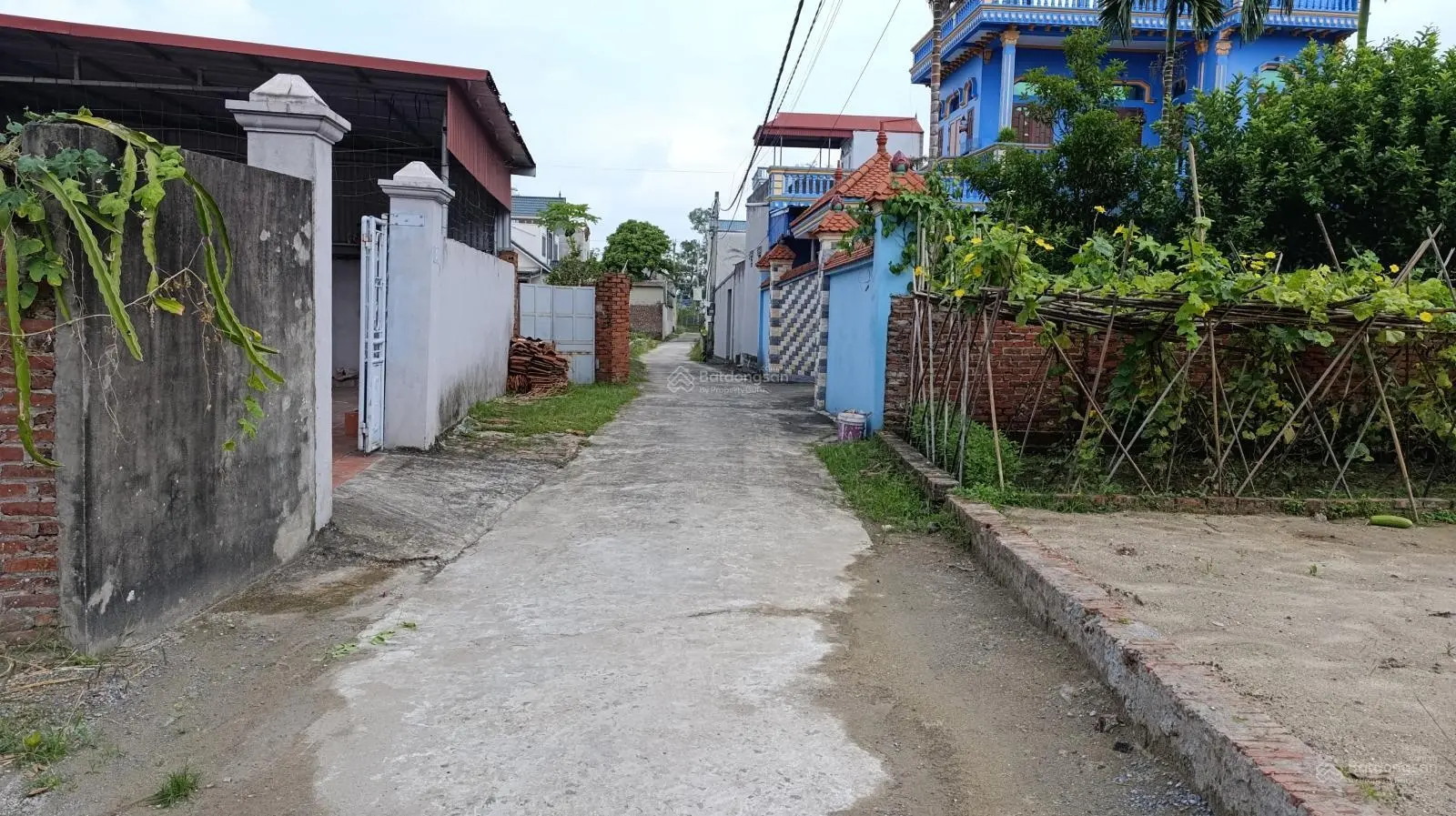 Bán gấp 100m2 đất, mt 5m, đường lê hữu tựu, nguyên khê, đông anh