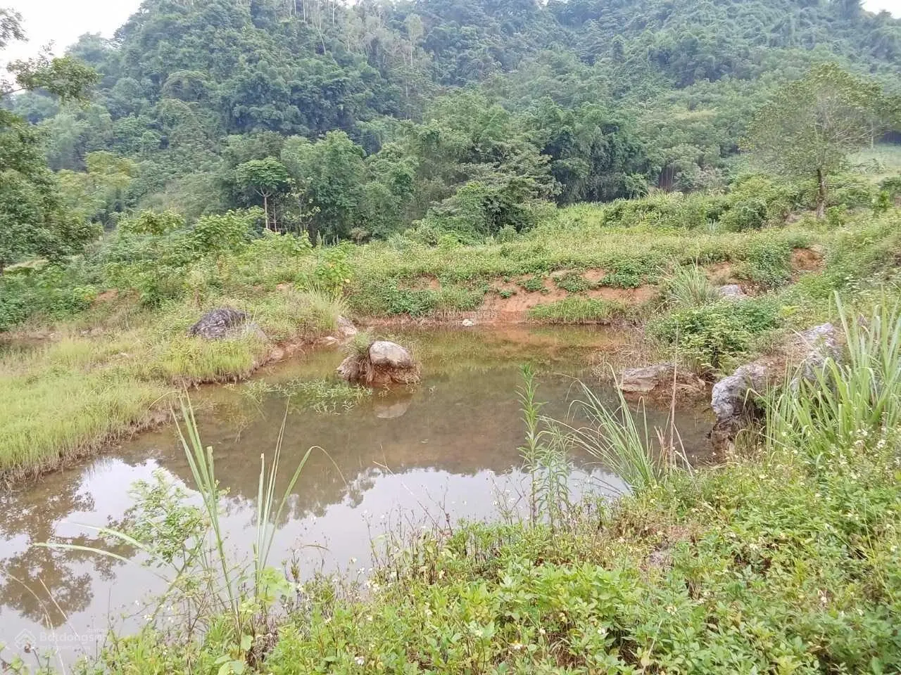 Cần bán mảnh đất tại thị trấn Đà Bắc, Hòa Bình. Diện tích 28000m2, giá 1,85 tỷ