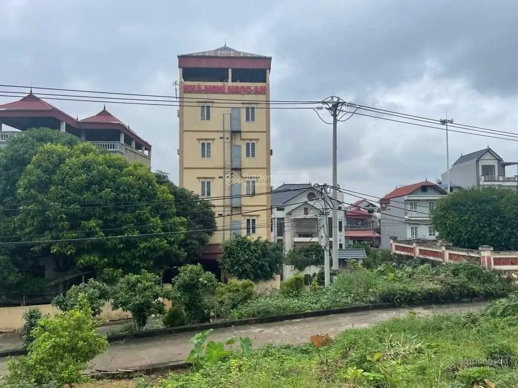 Bán đất Thôn Thái Bình, Mai Lâm, Đông Anh 60m2. MT 4m. Ngay sát siêu dự án Vinhomes Cổ Loa