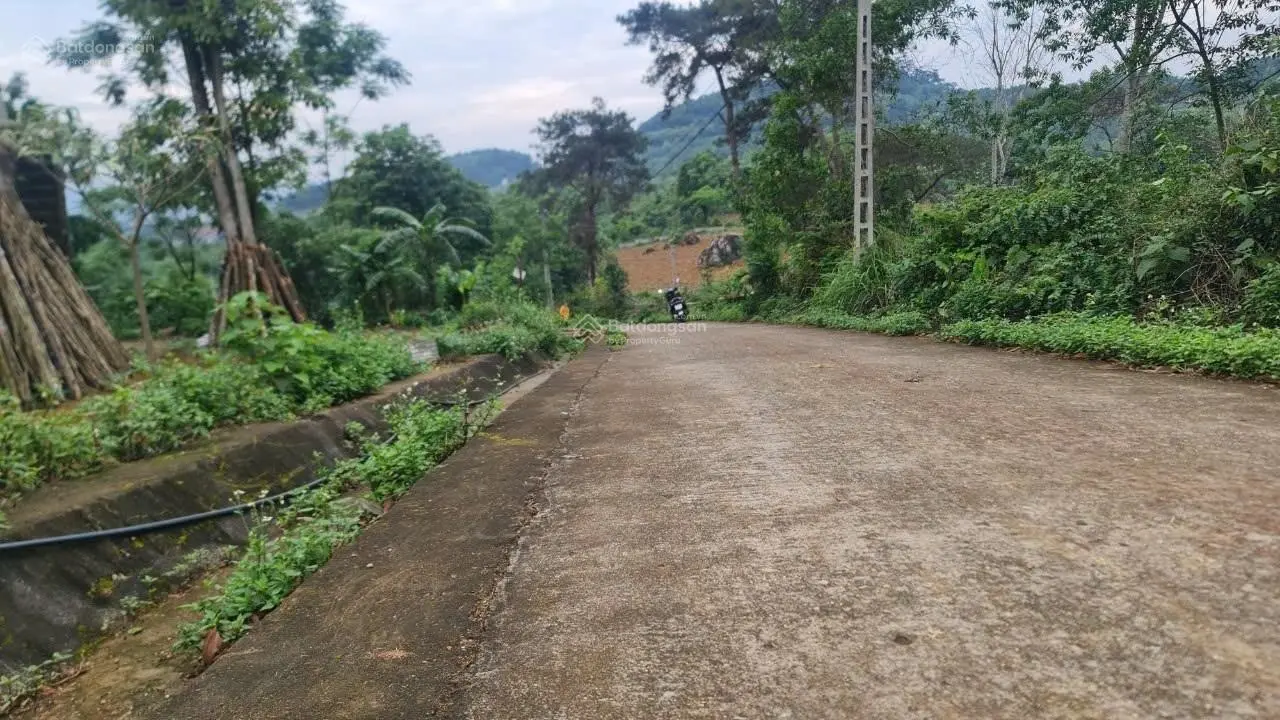 Cần bán lô đất tại thôn Hợp Sơn, xã Ba Vì, Ba Vì, Hà Nội có diện tích 1.801,5m2, đã sẵn nhà cấp 4.