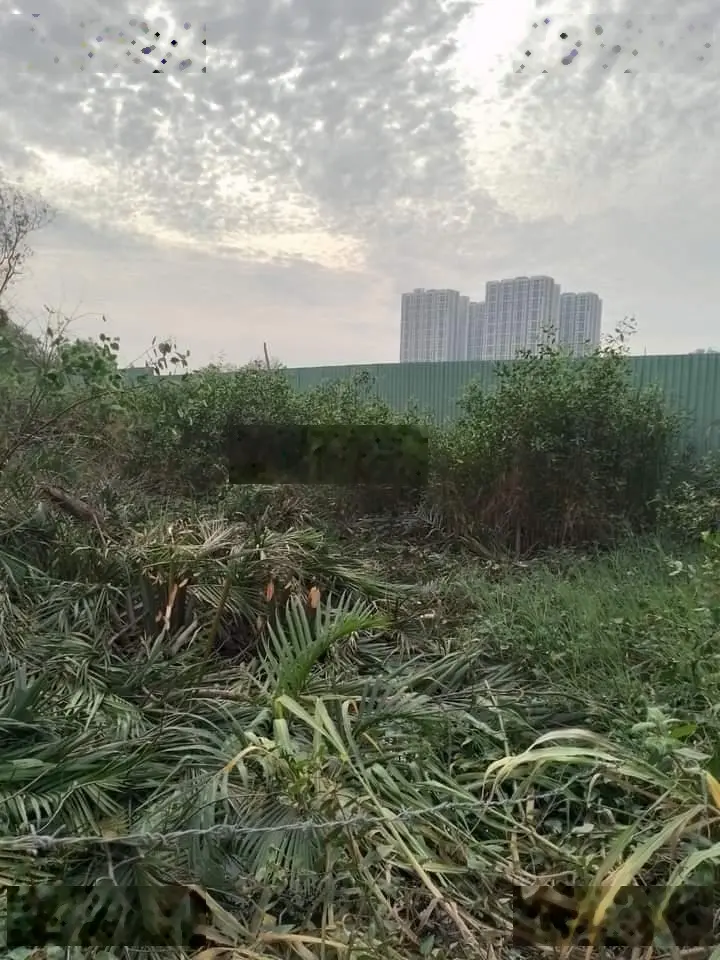 Cần tiền bán gấp gửi đất lớn 3,3 ha vị trí đẹp, ngay trung tâm xã Phú Xuân, huyện Nhà Bè
