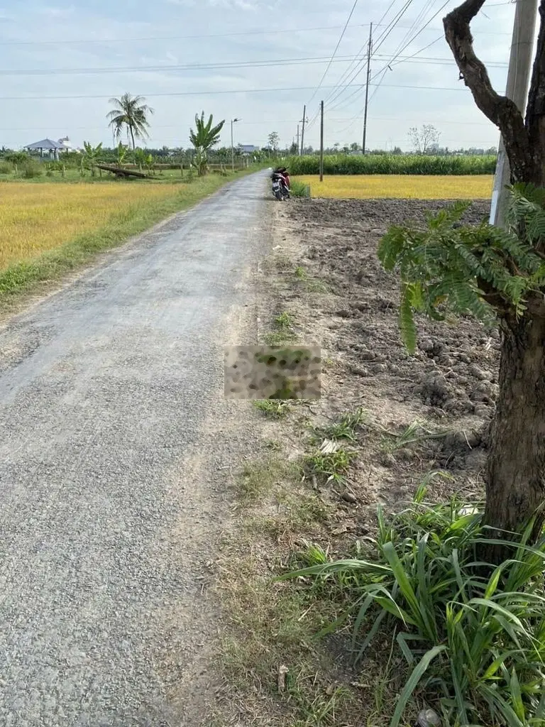 💎 Bán Đất Đẹp (23.5m x 42.5m) MT nhựa N10, Bình Nhựt, xã Thành Công