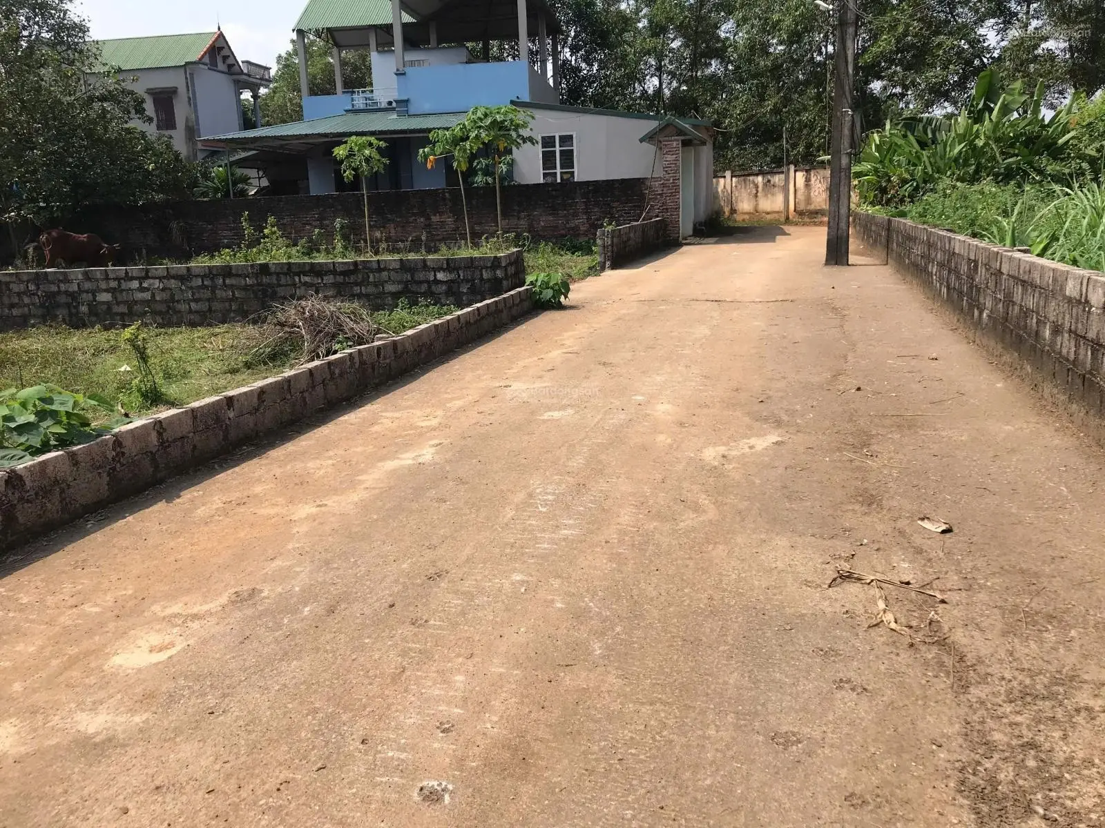 Tôi Chính Chủ Bán 784m2 Đất Tại Bình Yên Thạch Thất Hòa Lạc, Mặt Tiền 26,3m Giá Cực Tốt Chỉ 14Tr/m2
