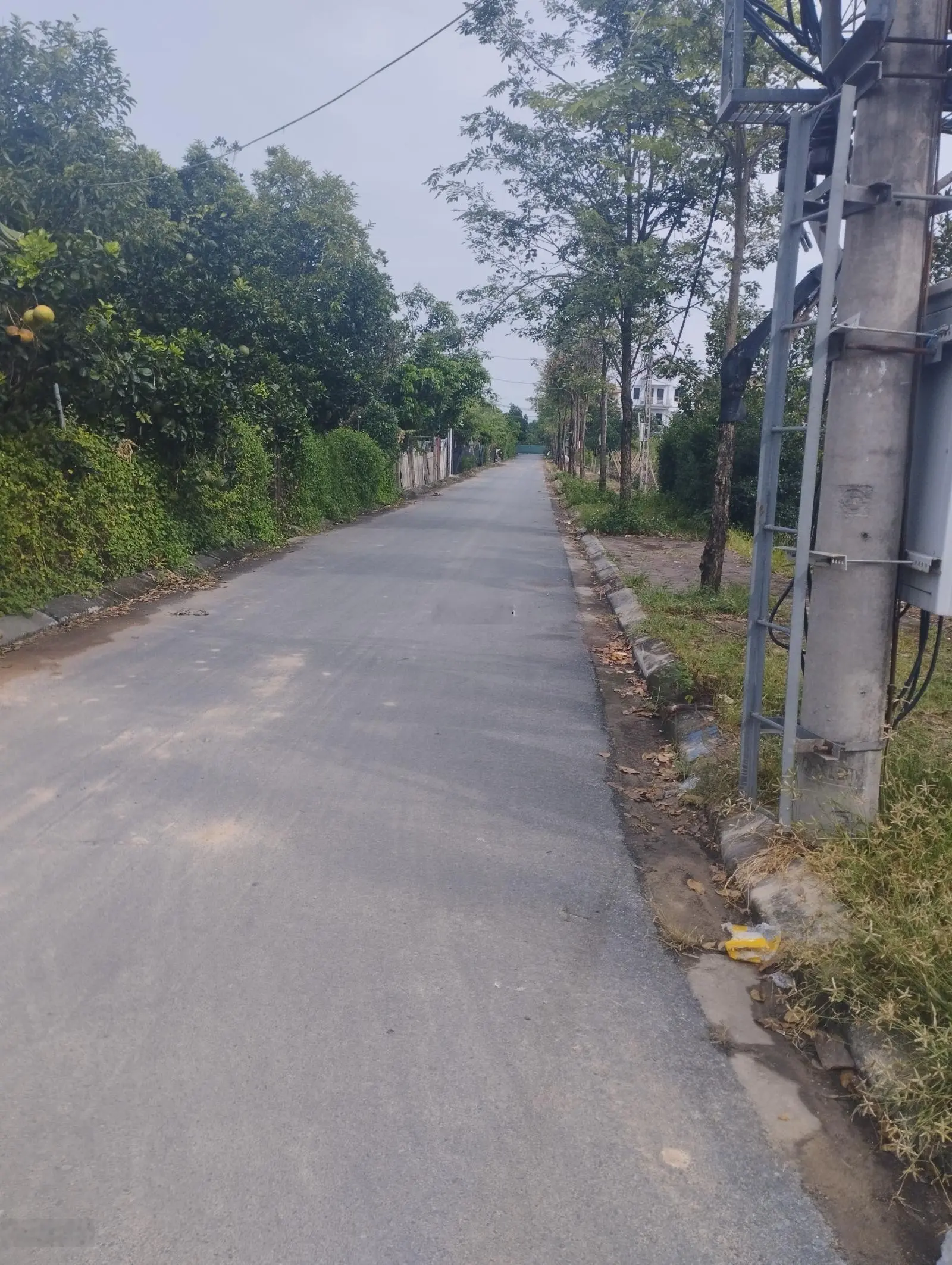 Siêu phẩm, hiếm, hót, thôn nhuế, kim chung, dòng tiền nhỏ, ô tô vào đất