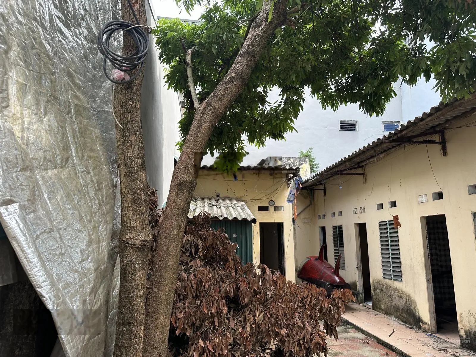 BÁN DẪY NHÀ TRỌ TẠI P.ĐÔNG THỌ, TP THANH HOÁ. Diện tích 128M2, mặt tiền 9,9M, hướng chính NAM.