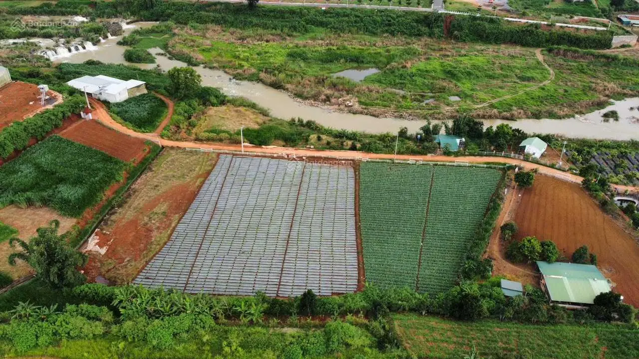 1000m2 đất ven Sông Đa Nhim, Đơn Dương, Lâm Đồng