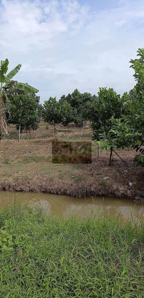 Bán đất mặt tiền đường