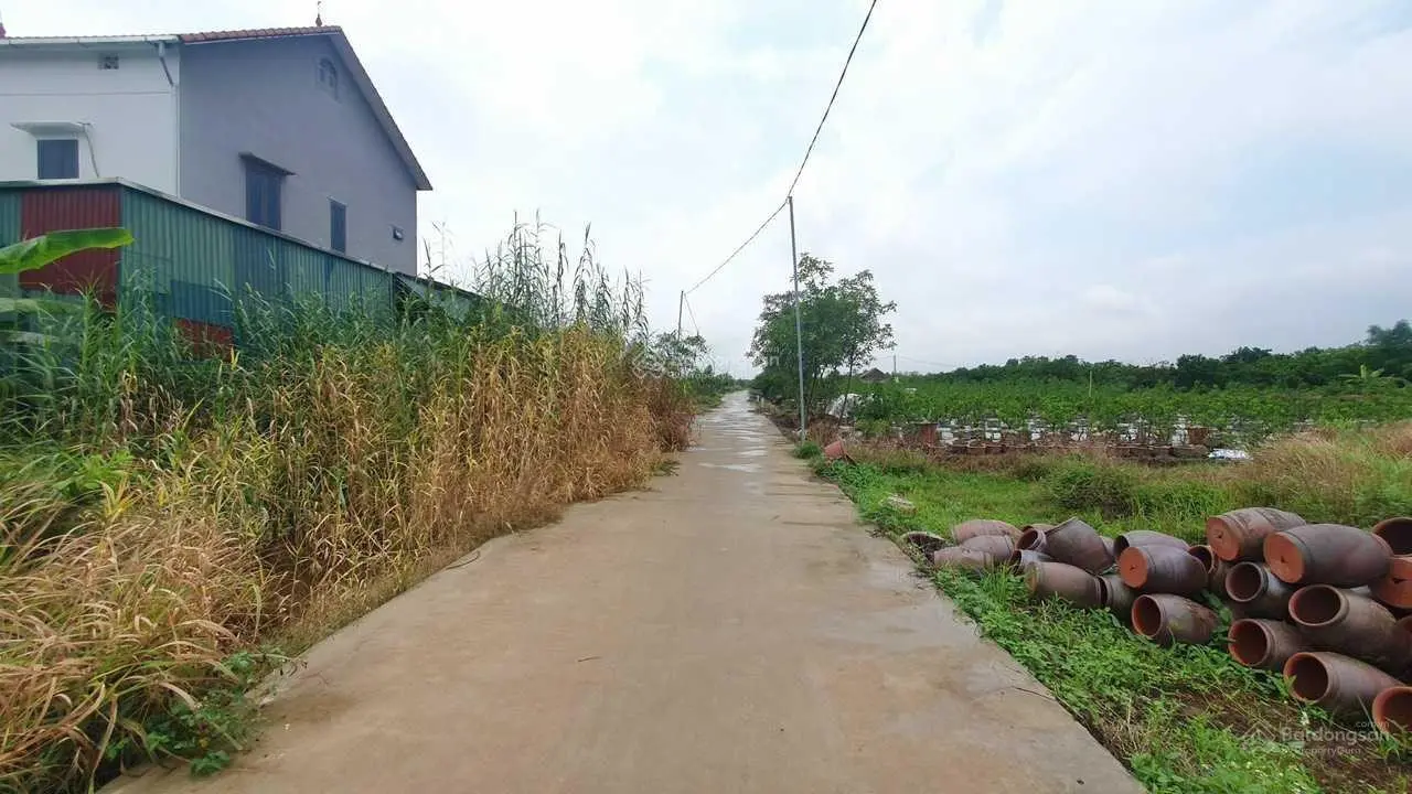 Bán đất Tân Tiến Văn Giang giáp học viện bóng đá PVF và KĐT Ecopark