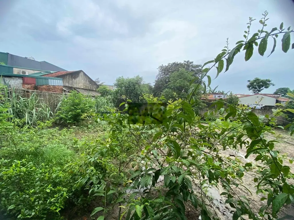 Bán Đất P. Quảng Thành, Phố Thành Công, 1000m, 6 Tỷ, Gần KCN Lễ Môn