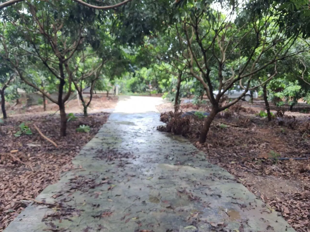 Chuyển nhượng 20.118m2 (hơn 2ha) đất thổ cư giá rẻ phù hợp xây nghỉ dưỡng homestay tại Lương Sơn
