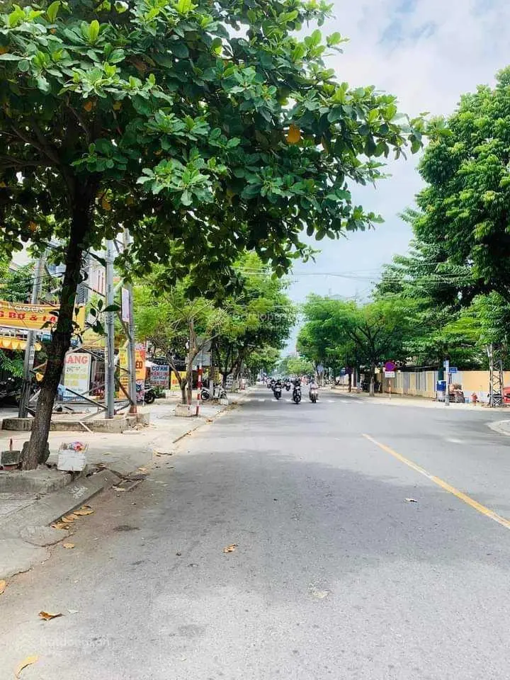 Kẹt tiền bán ngay đất MTĐ Đinh Tiên Hoàng, Phường 1, Cà Mau, 120m2/800tr, SSHR gần Chợ Đêm Cà Mau