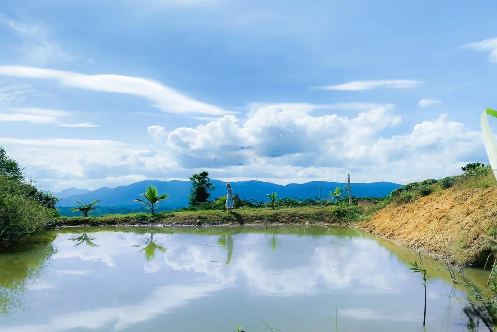 Hình thật tại đất-săn mây đồi Bát Up-hồ nước sẵn làm view vô cực, đồi chè-cây ăn trái sầu riêng, bơ